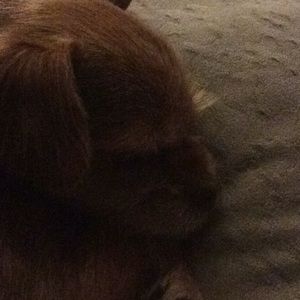 Meet your Posher, Kim